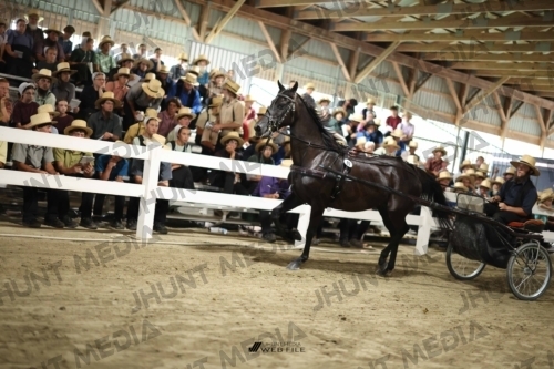 JHM_2318