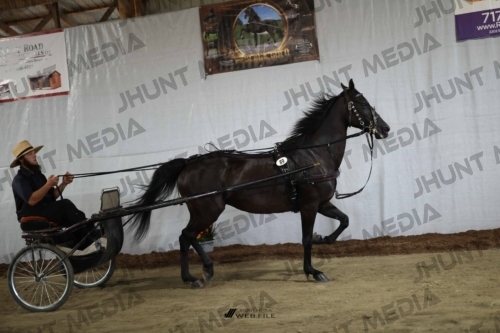 JHM_2331