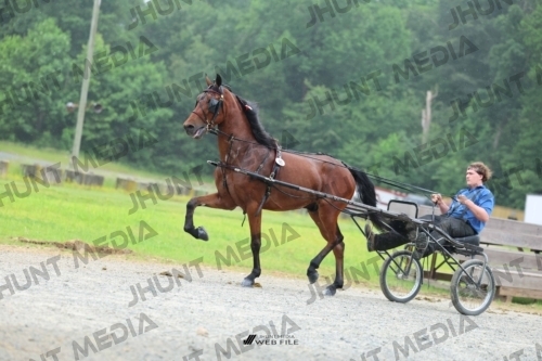 JHM_0844