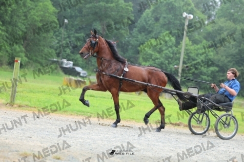JHM_0845