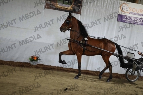 JHM_2335