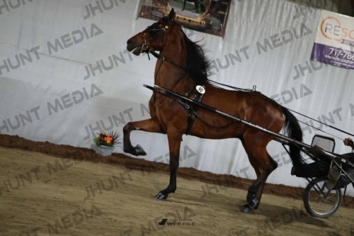 JHM_2343