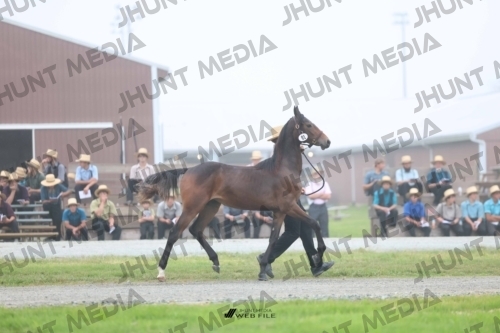 JHM_0664