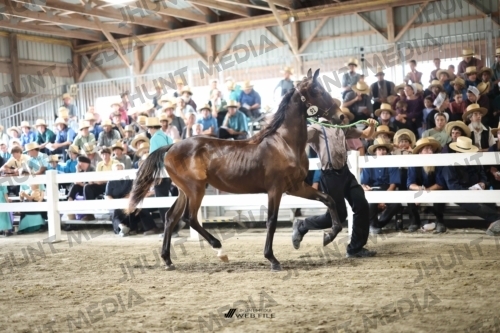 JHM_2346