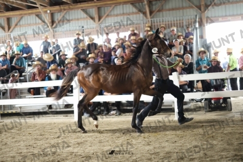JHM_2347