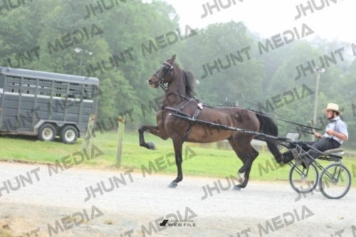 JHM_0625