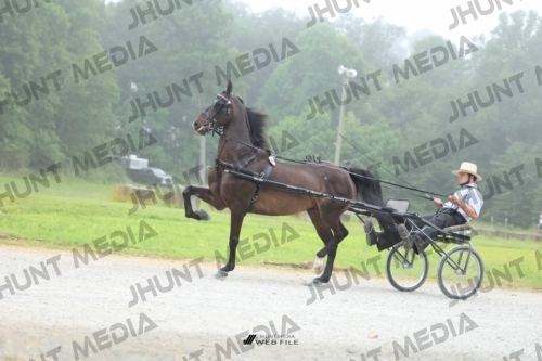 JHM_0643