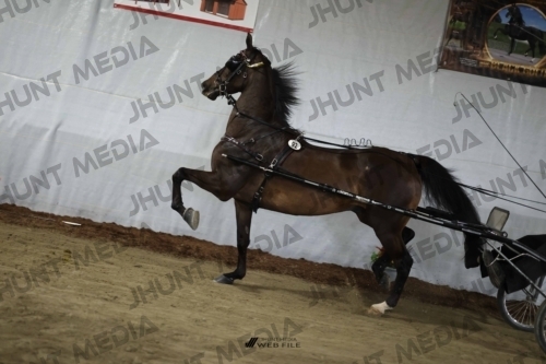 JHM_2356