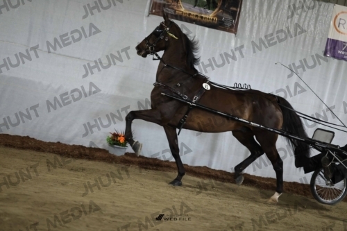 JHM_2359
