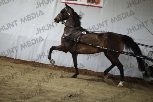JHM_2360