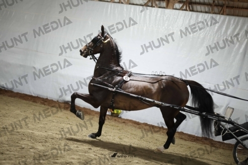 JHM_2363