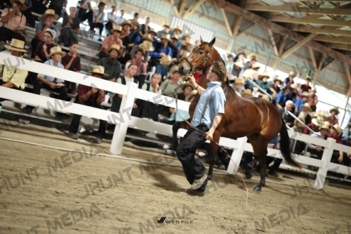 JHM_2387