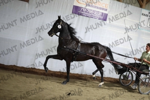 JHM_2385