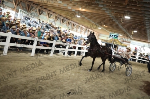 JHM_2399