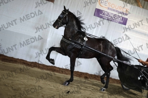 JHM_2424