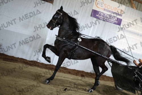 JHM_2427