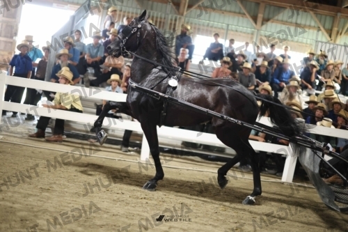 JHM_2429