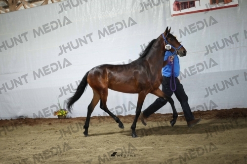 JHM_2438