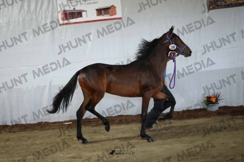JHM_2439
