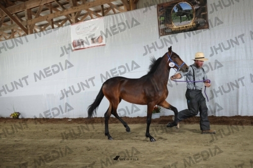 JHM_2443