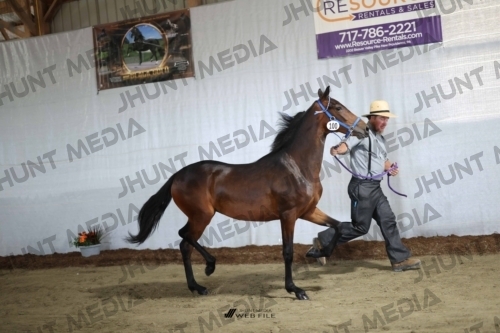 JHM_2444