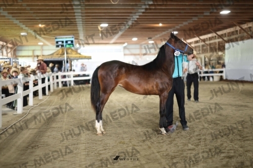 JHM_2464