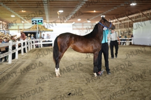 JHM_2465