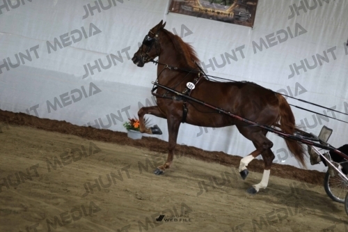 JHM_2460