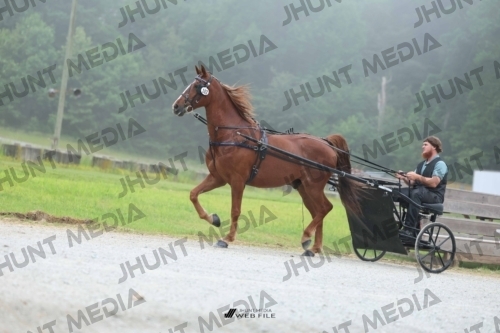JHM_0491