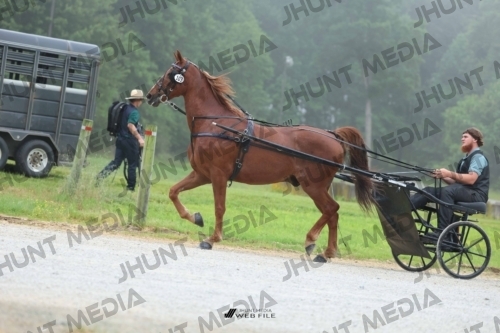 JHM_0493