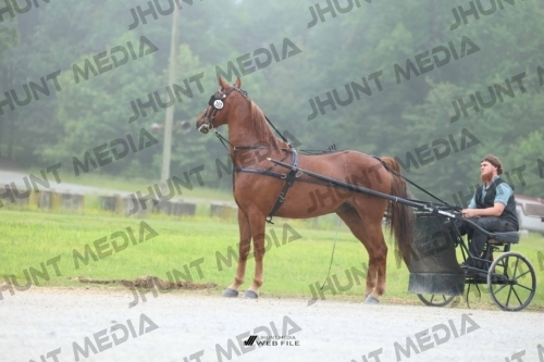 JHM_0538