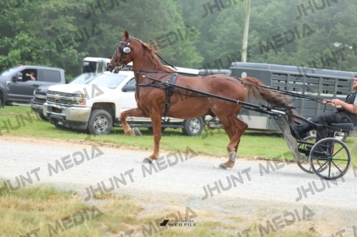 JHM_0554