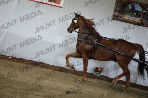 JHM_2471