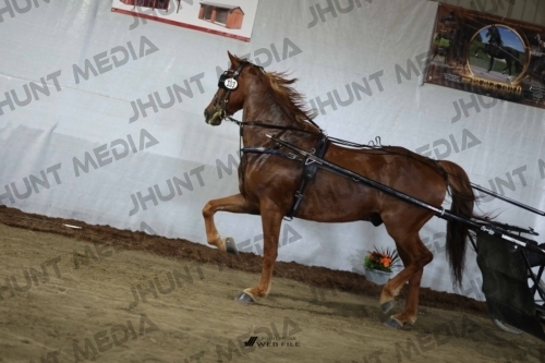 JHM_2478