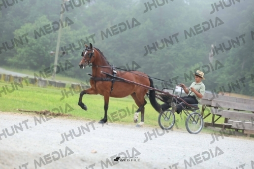 JHM_0487