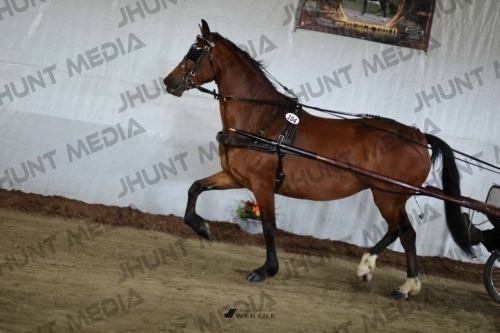 JHM_2487