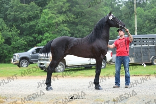 JHM_0824