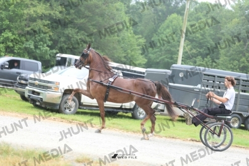 JHM_0748