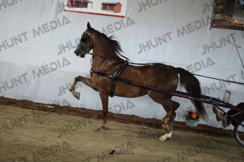 JHM_2516