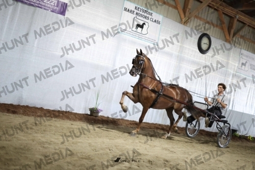 JHM_2517