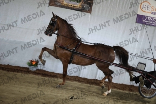 JHM_2519