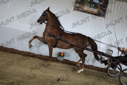 JHM_2523