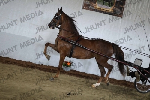 JHM_2527