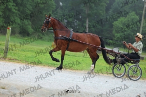 JHM_0407
