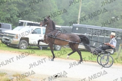 JHM_0599