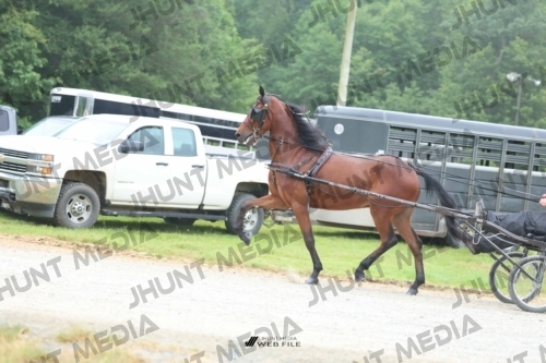 JHM_0769