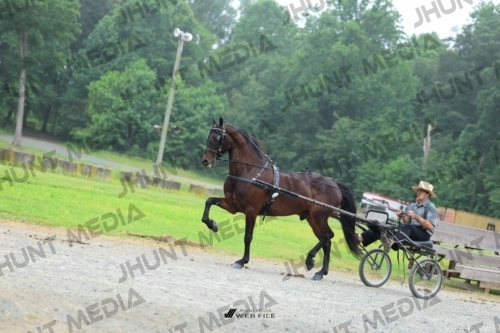 JHM_0860