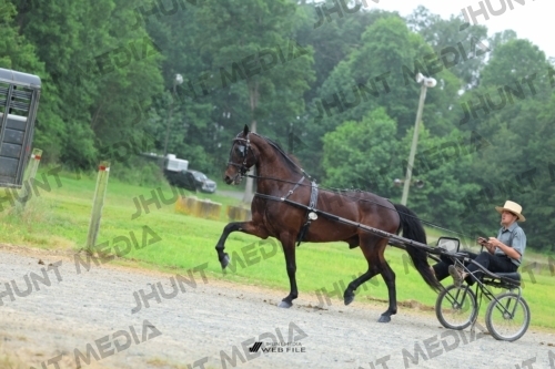 JHM_0861