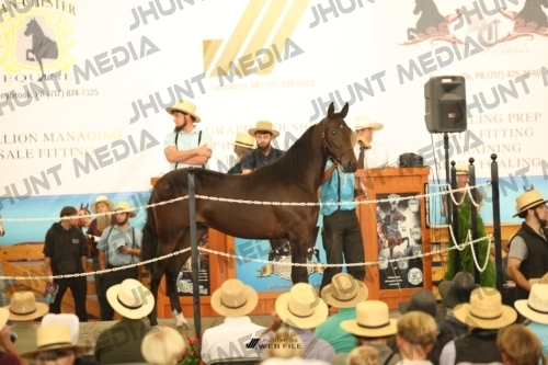 JHM_2056