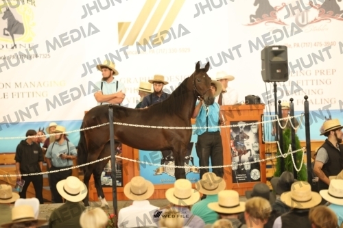JHM_2058